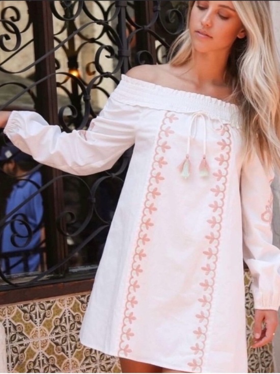 Love Riche Dresses & Skirts - NWT Off-Shoulder Embroidered Tunic Dress
